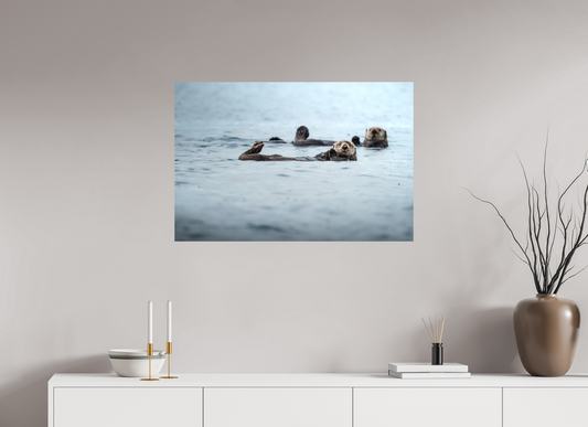 The floating pair - Otters in British Columbia