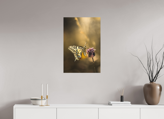 “Whispers of a Swallowtail” – Macro Fine Art