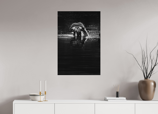 Surface Tension – Hippo