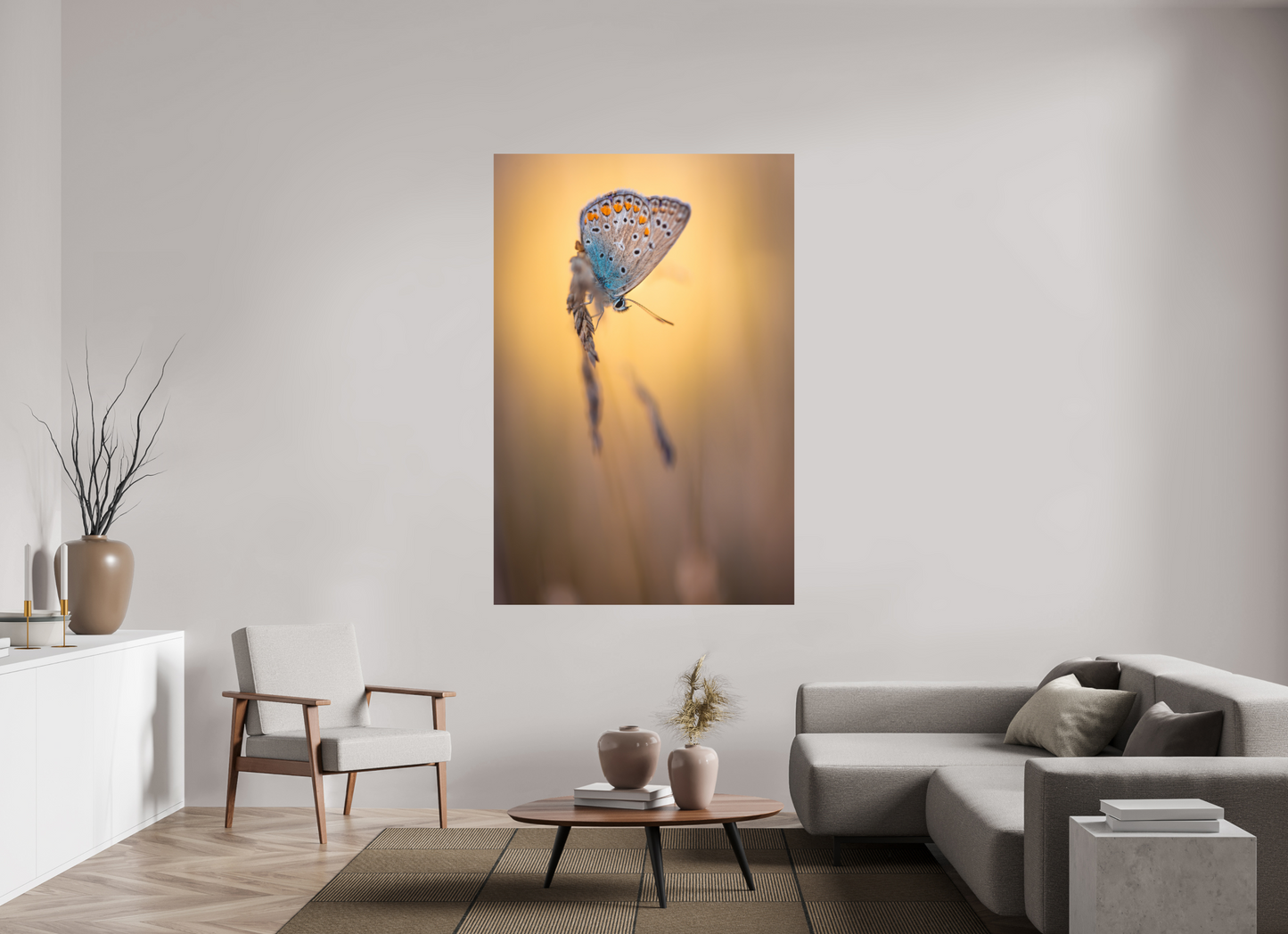 Evening Balance” – Common Blue Butterfly