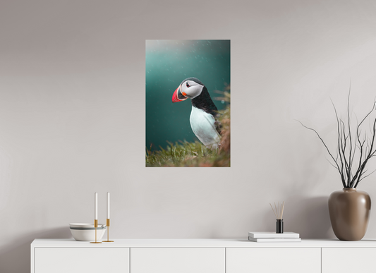 Windswept Watcher – Puffin in Iceland