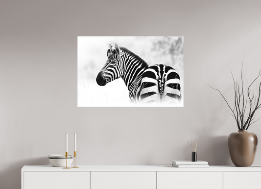 Unexpected Passenger – Zebra with Bird, Serengeti National Park