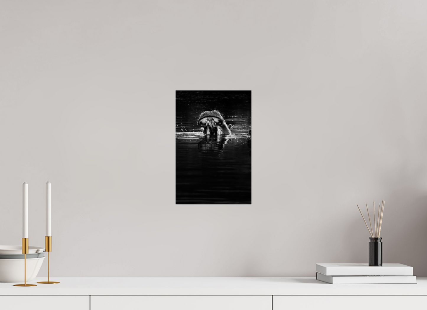 Surface Tension – Hippo