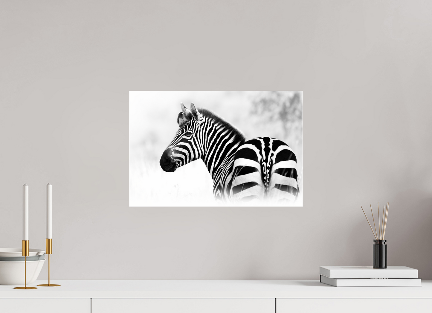 Unexpected Passenger – Zebra with Bird, Serengeti National Park