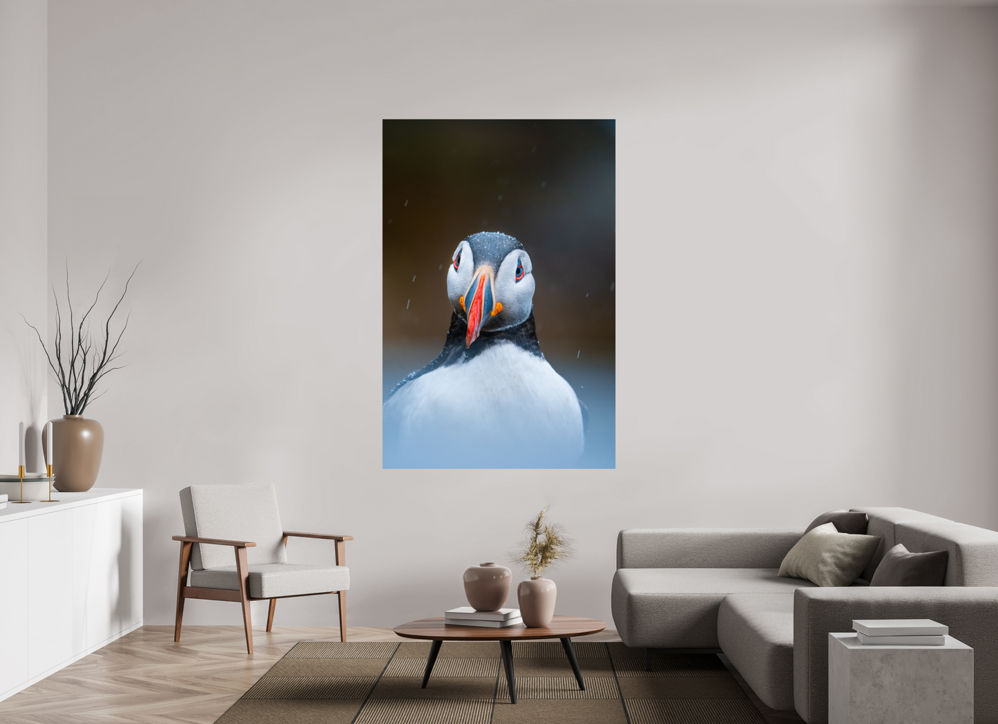 Edge of the North – Puffin under the rain