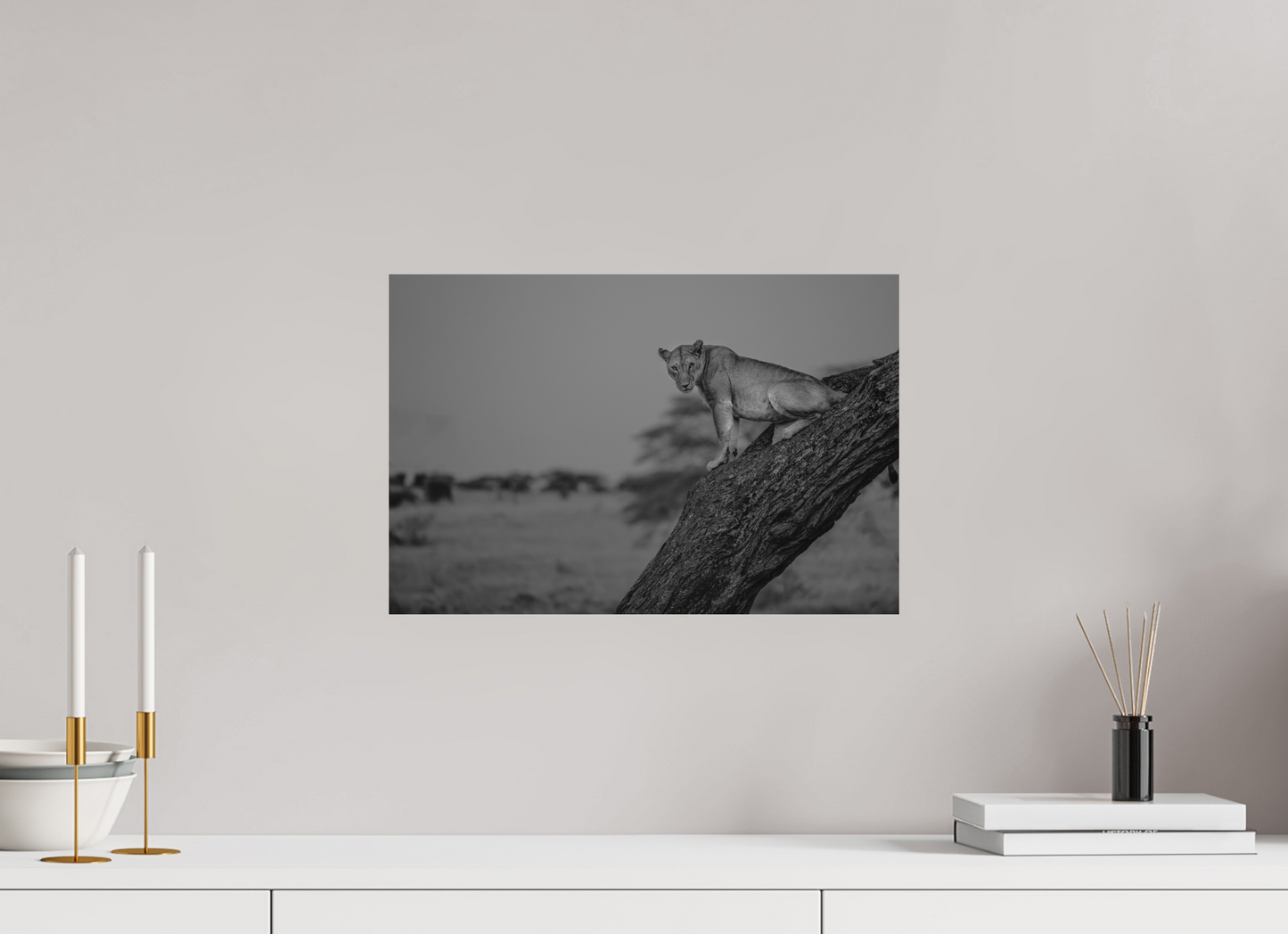 “Twilight Watch” – Lioness at Dusk