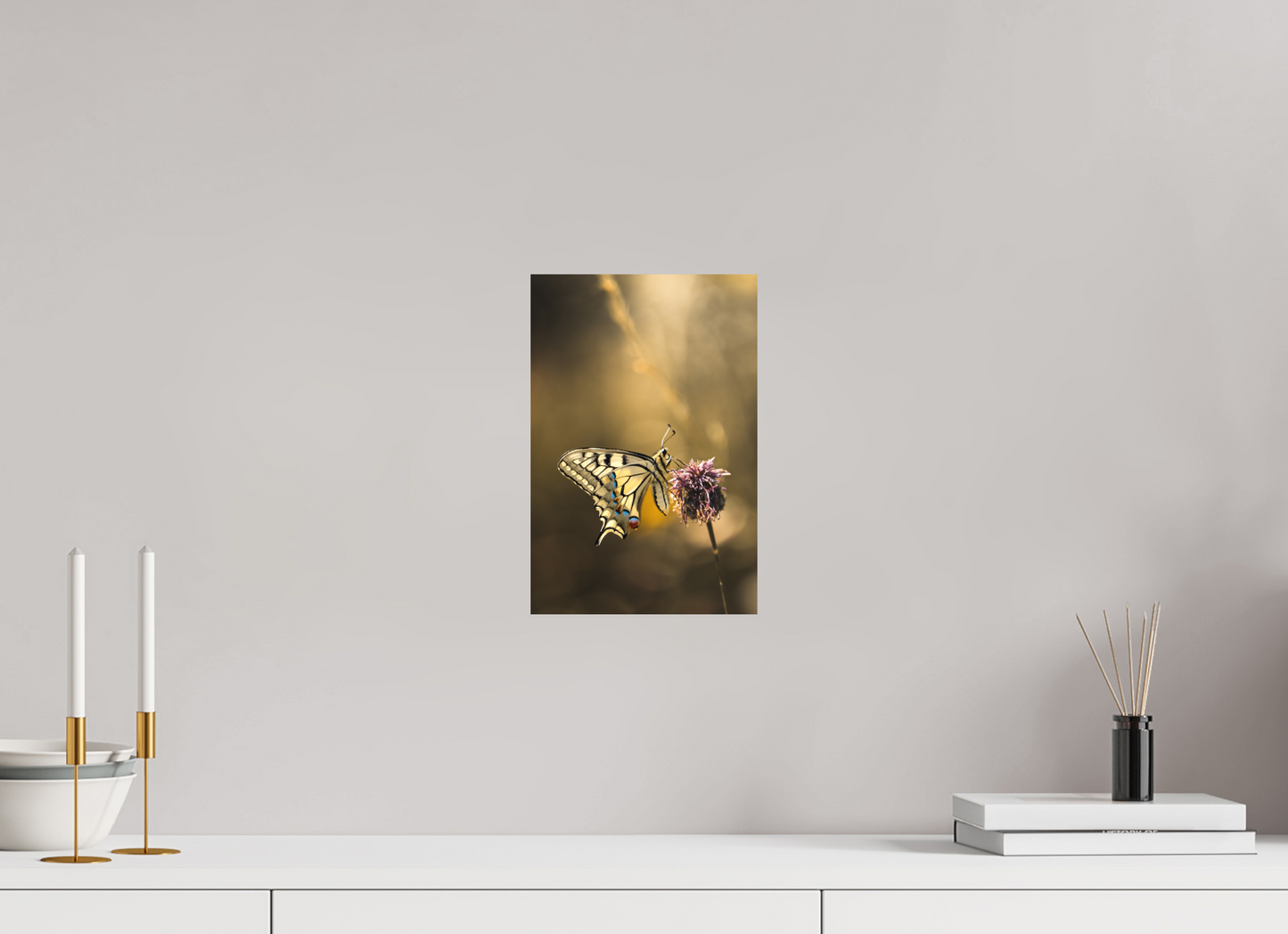 “Whispers of a Swallowtail” – Macro Fine Art