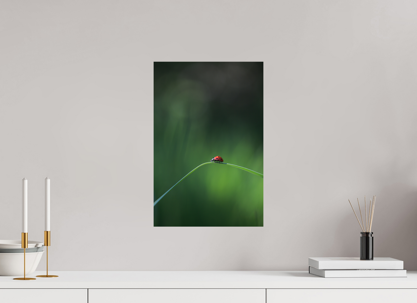 Red in the Green – Ladybug