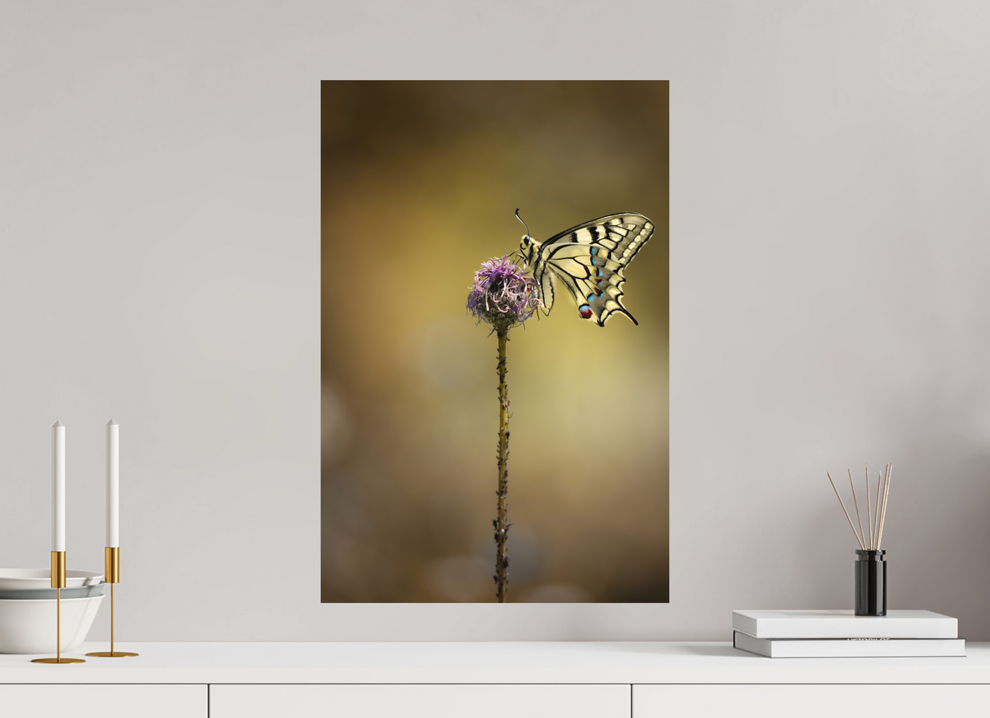 “Wings of Light” – Swallowtail Butterfly