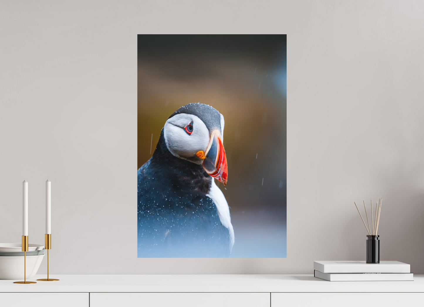 Atlantic Icon – Puffin Portrait