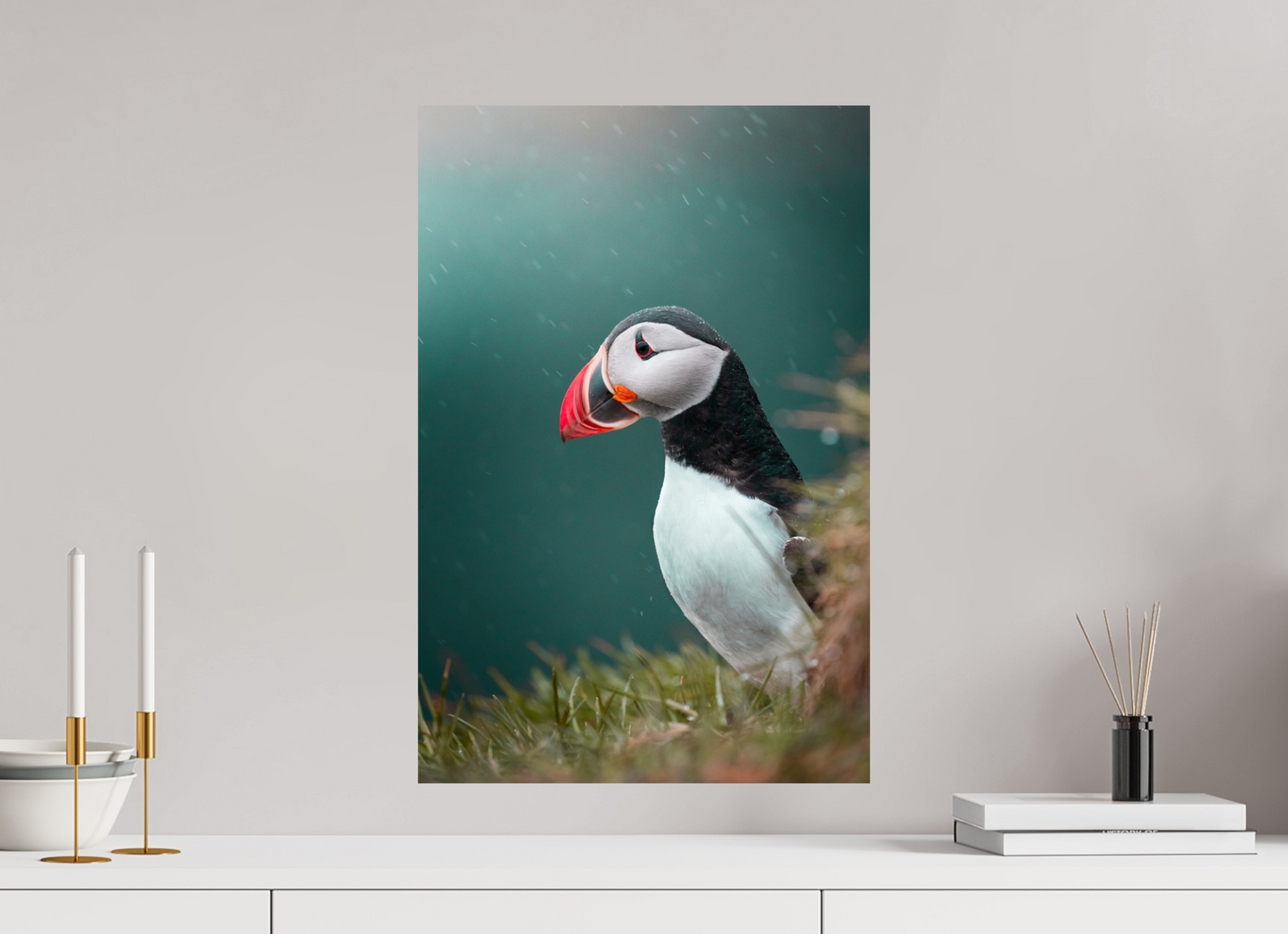 Windswept Watcher – Puffin in Iceland