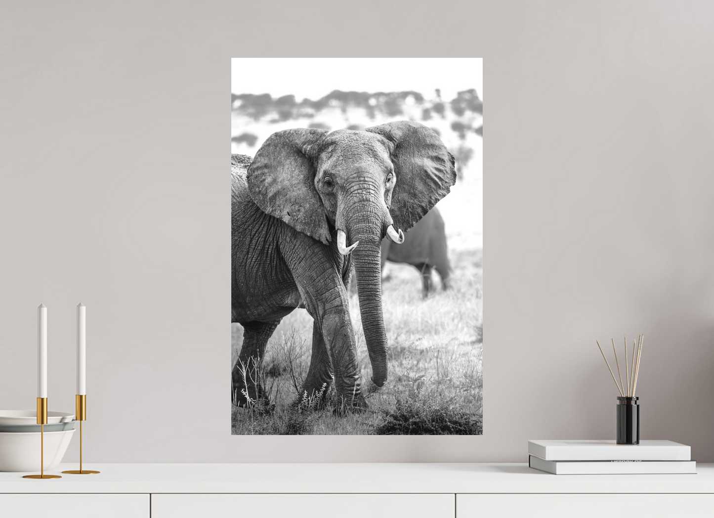 Elephant Portrait from the Serengeti