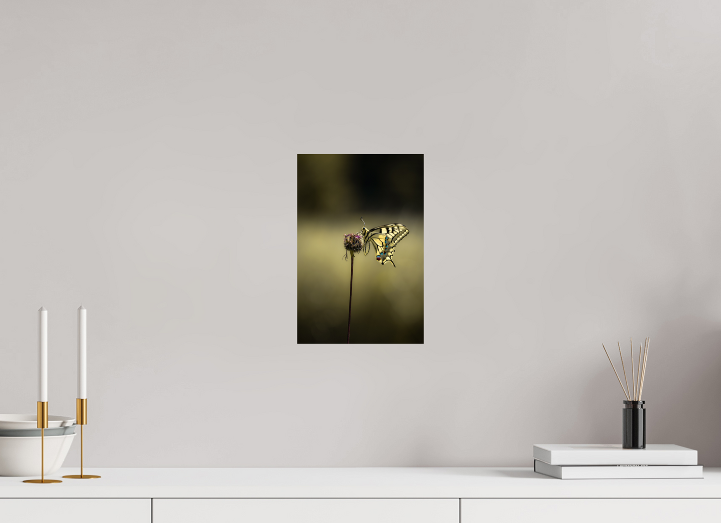 Swallowtail Serenity – Fine Art Butterfly Print
