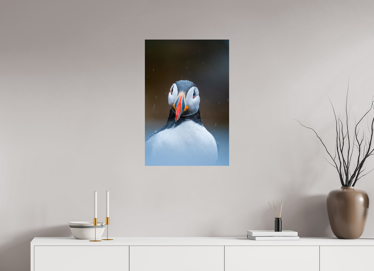 Edge of the North – Puffin under the rain