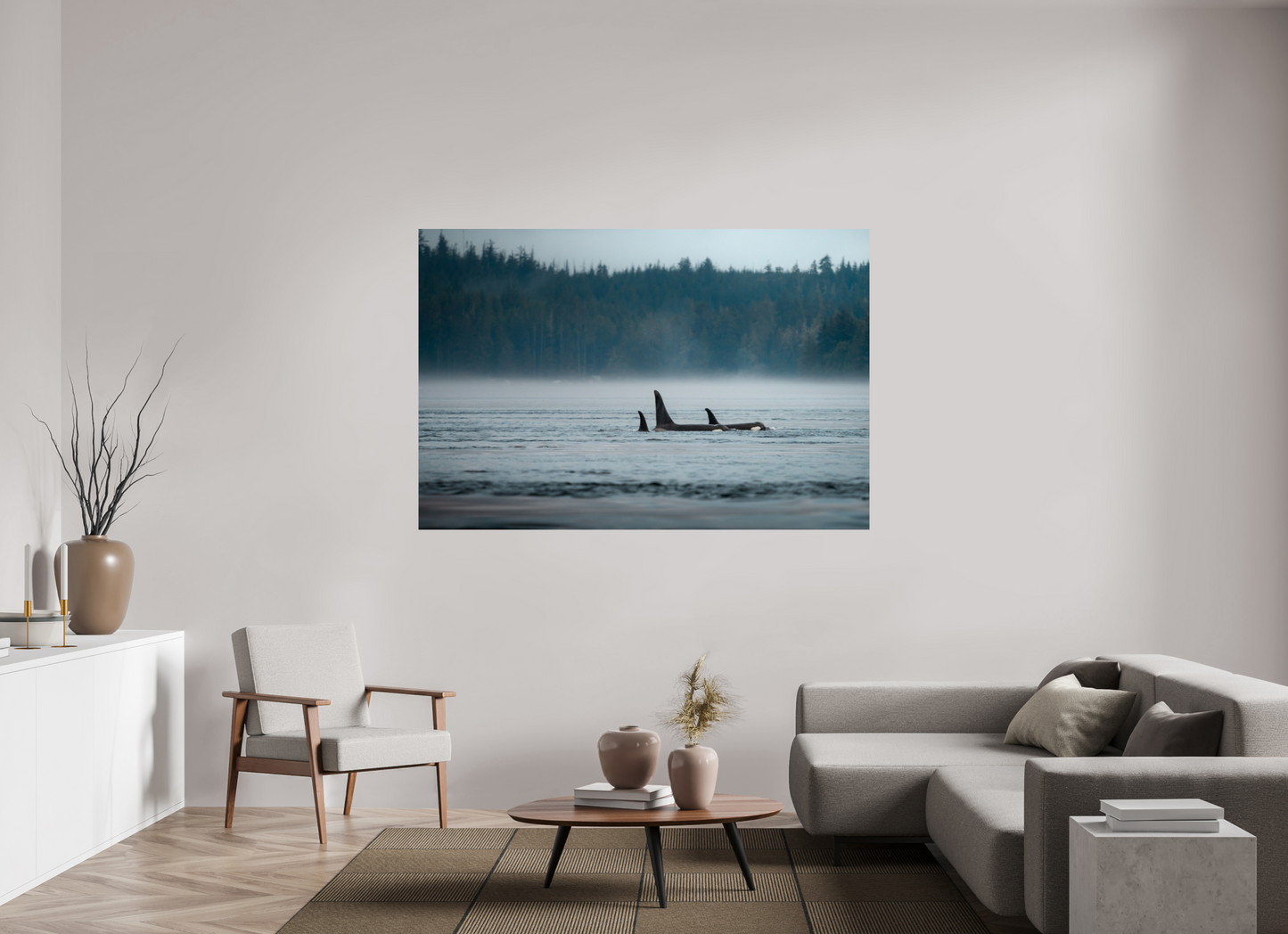 The Northern Current – Orca Pod