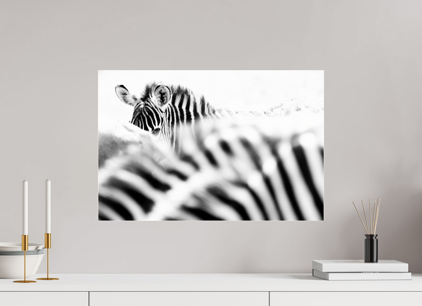 “Hidden in Stripes” – Black & White Zebra Fine Art Print