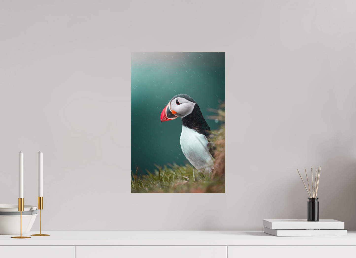 Windswept Watcher – Puffin in Iceland