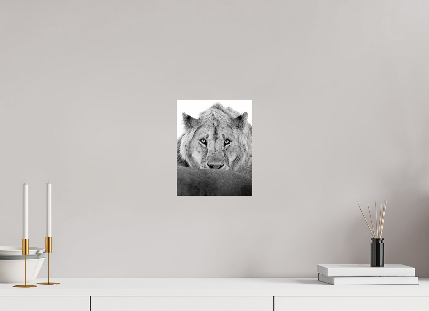 “The Stare” – Black & White Lion Fine Art Print