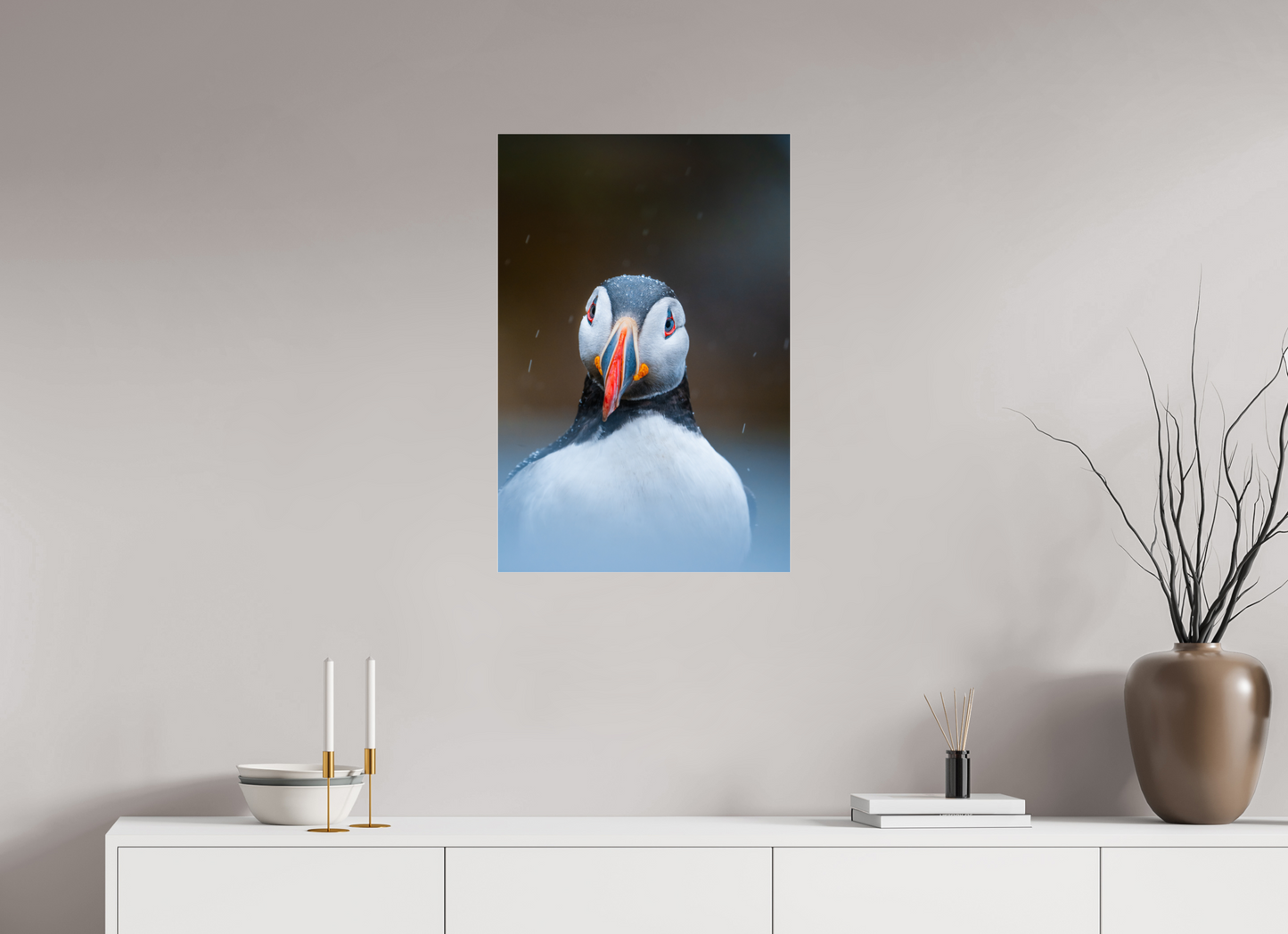 Edge of the North – Puffin under the rain