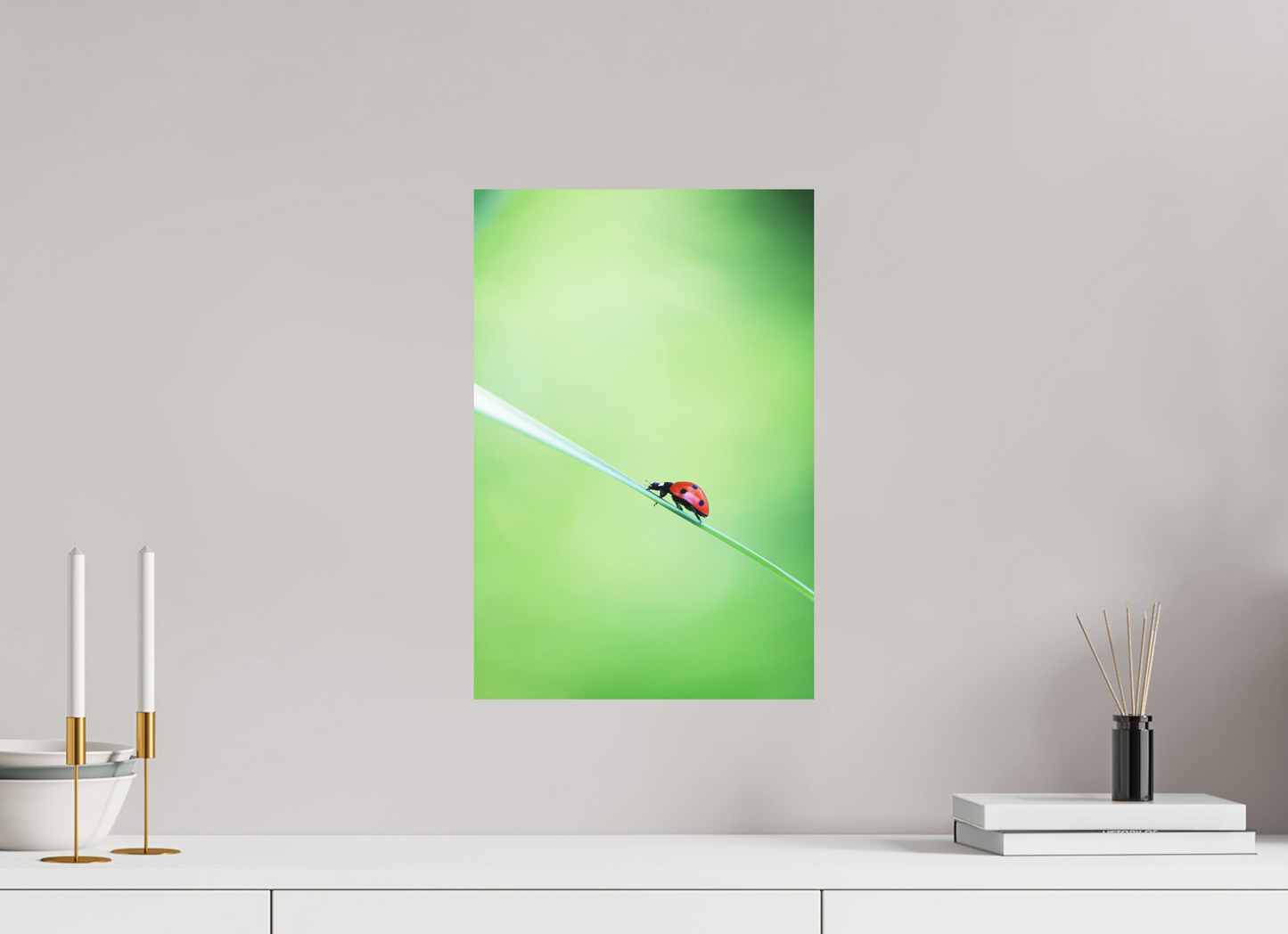 Burst of Life – Vibrant Ladybug