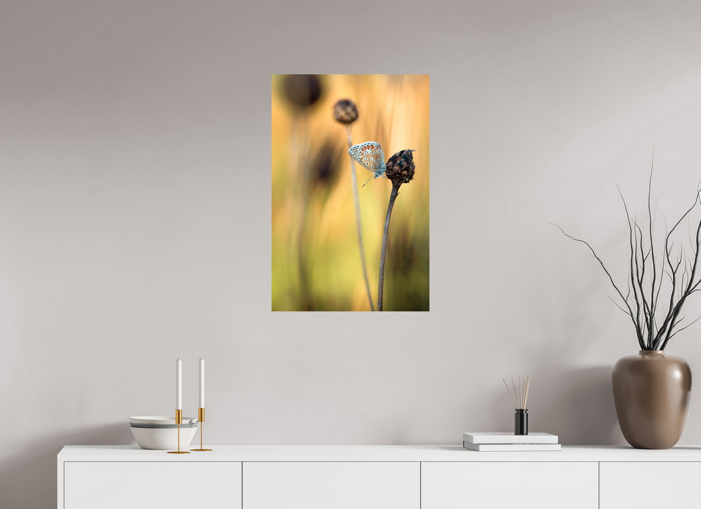 Glow in Blue – Common Blue Butterfly