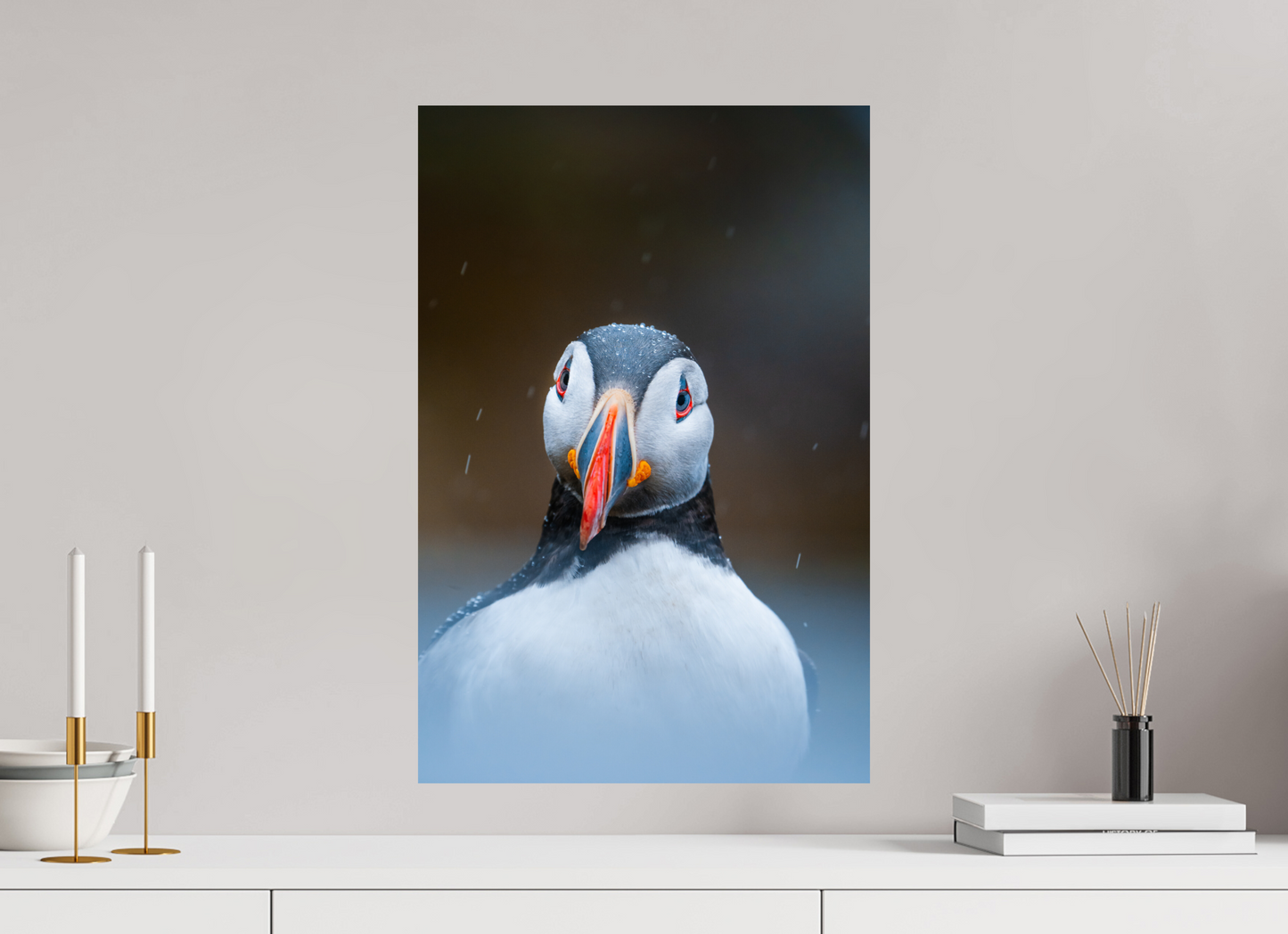 Edge of the North – Puffin under the rain