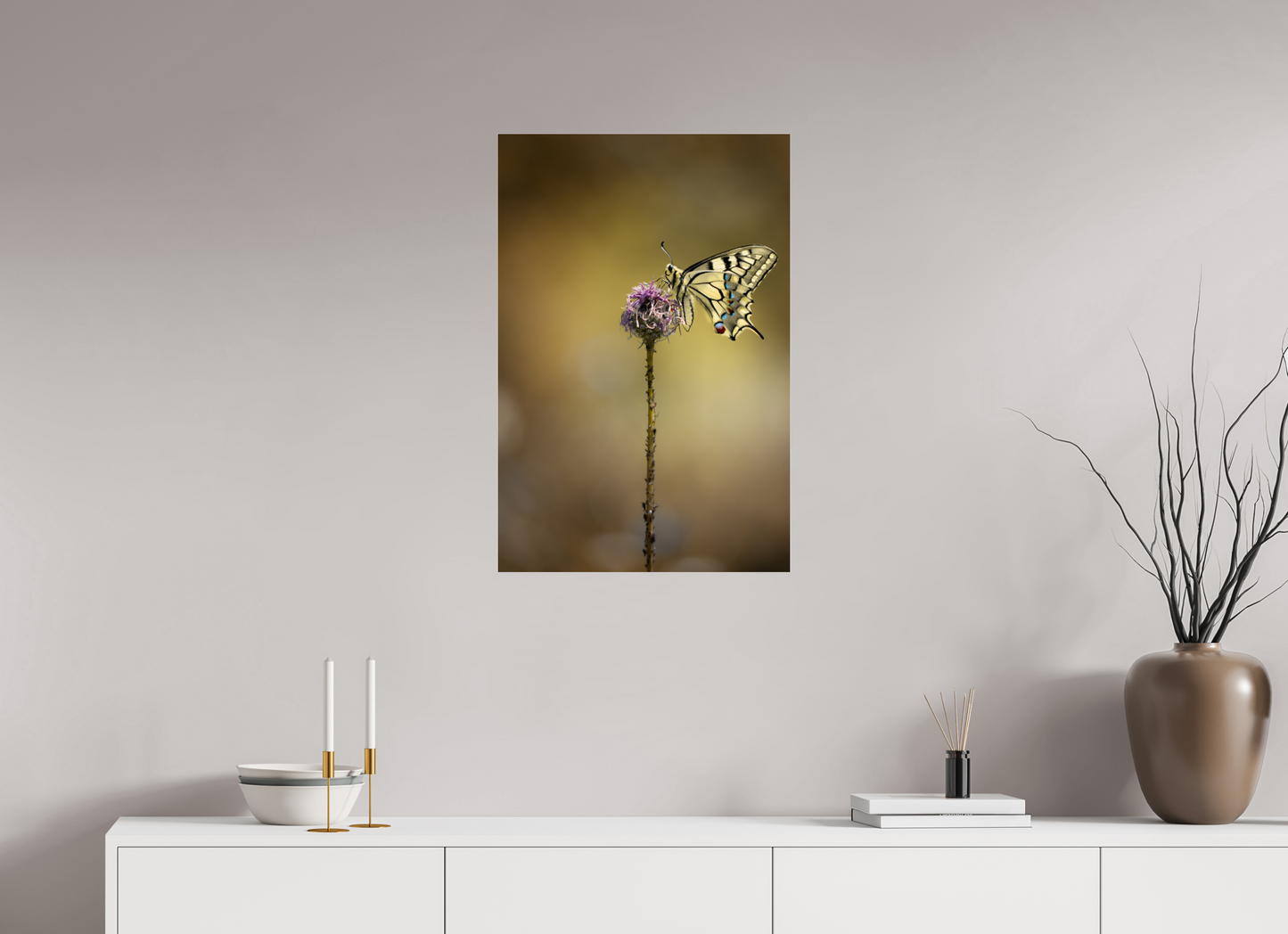 “Wings of Light” – Swallowtail Butterfly