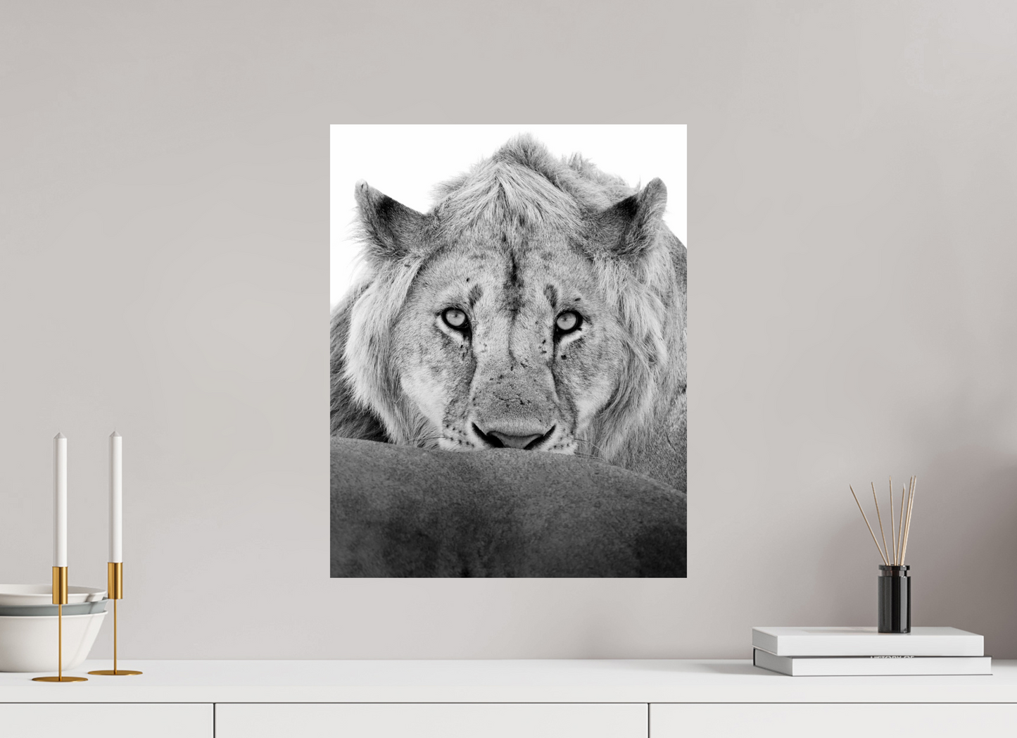 “The Stare” – Black & White Lion Fine Art Print
