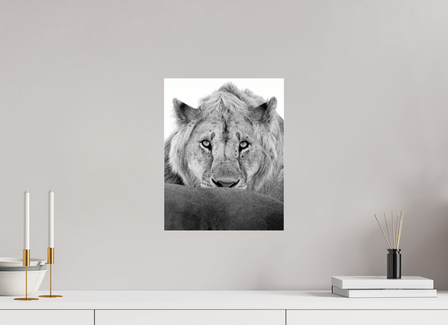 “The Stare” – Black & White Lion Fine Art Print