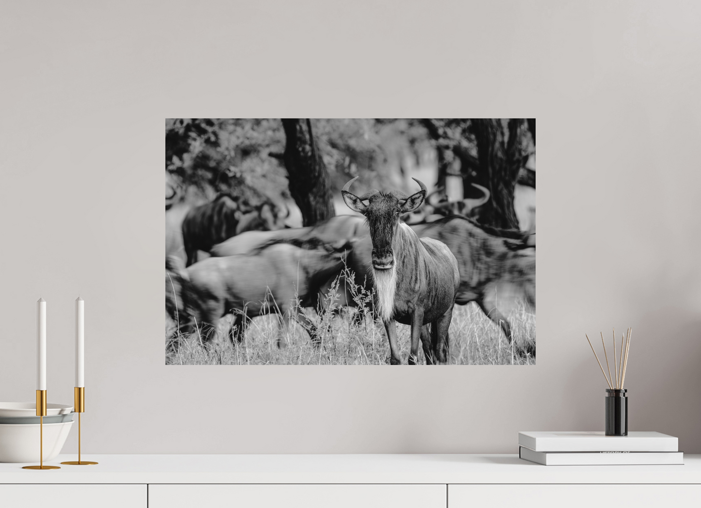 The Still One – Wildebeest in the Serengeti