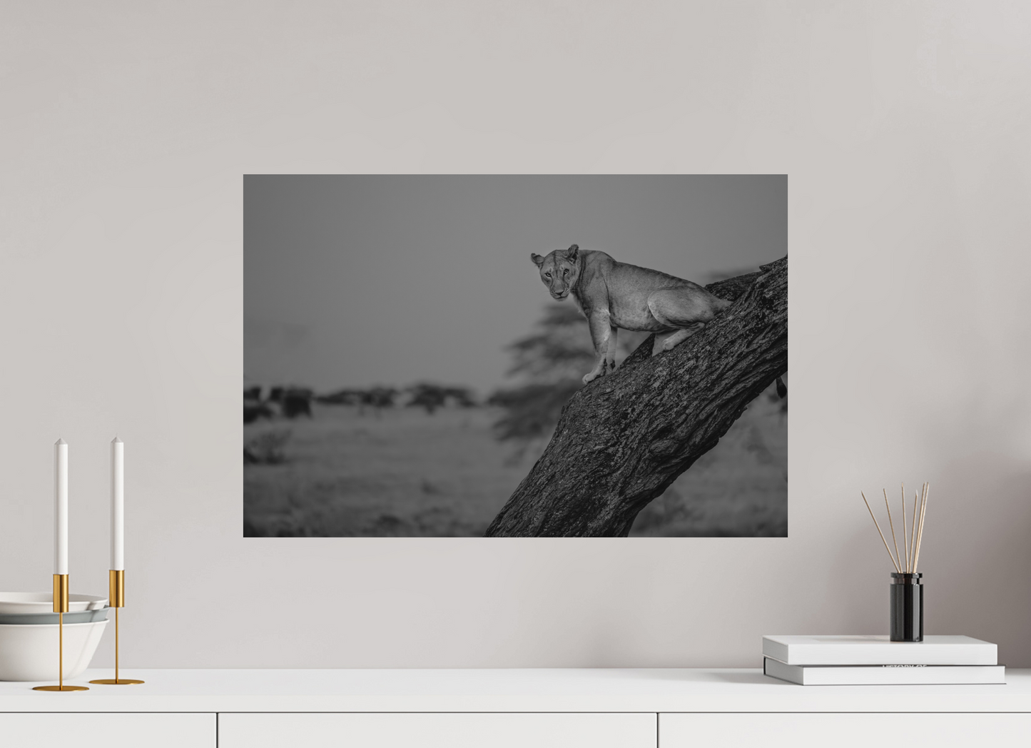 “Twilight Watch” – Lioness at Dusk