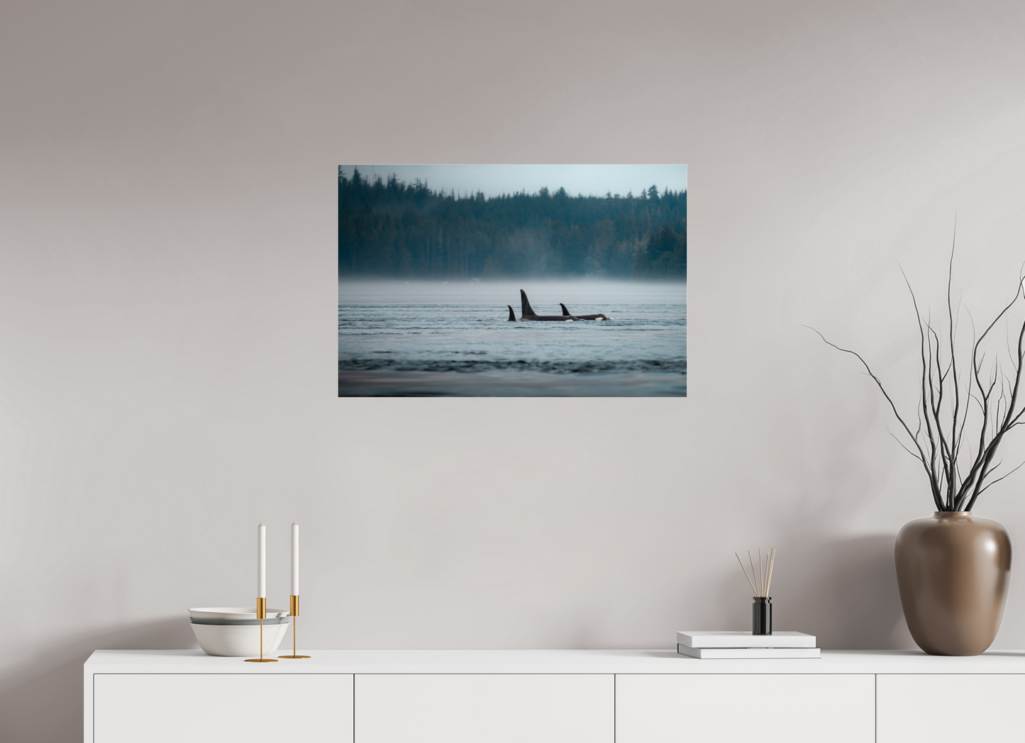 The Northern Current – Orca Pod