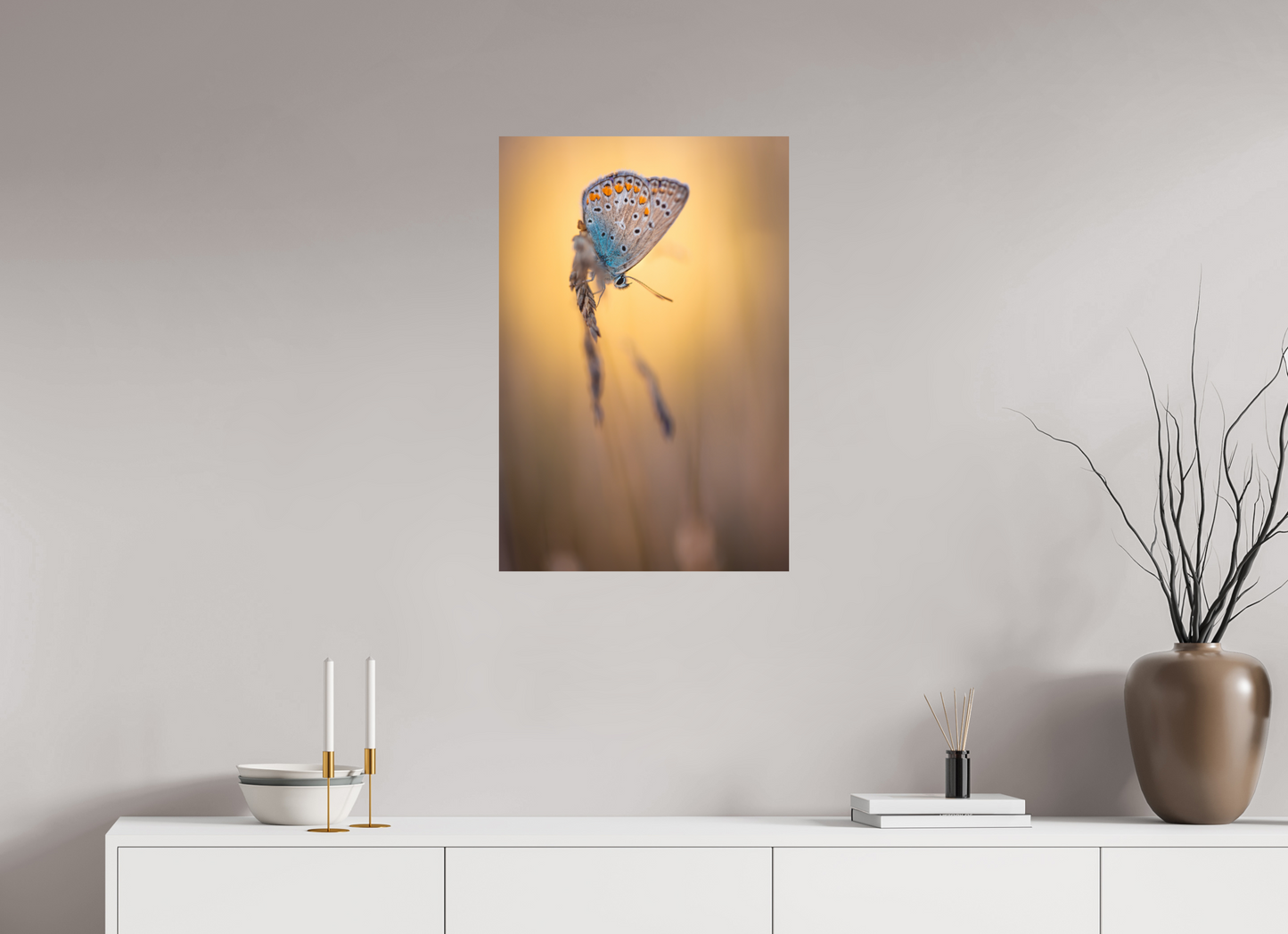 Evening Balance” – Common Blue Butterfly