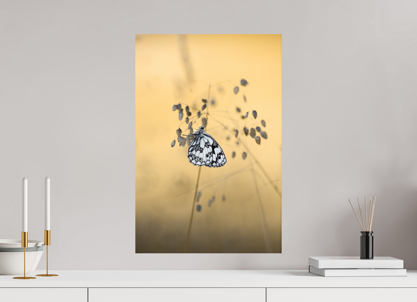 “Poetry in Pattern” – Marbled White Butterfly Macro