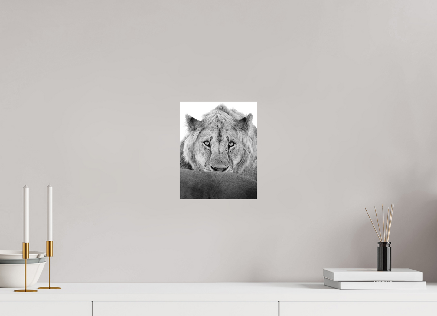 “The Stare” – Black & White Lion Fine Art Print