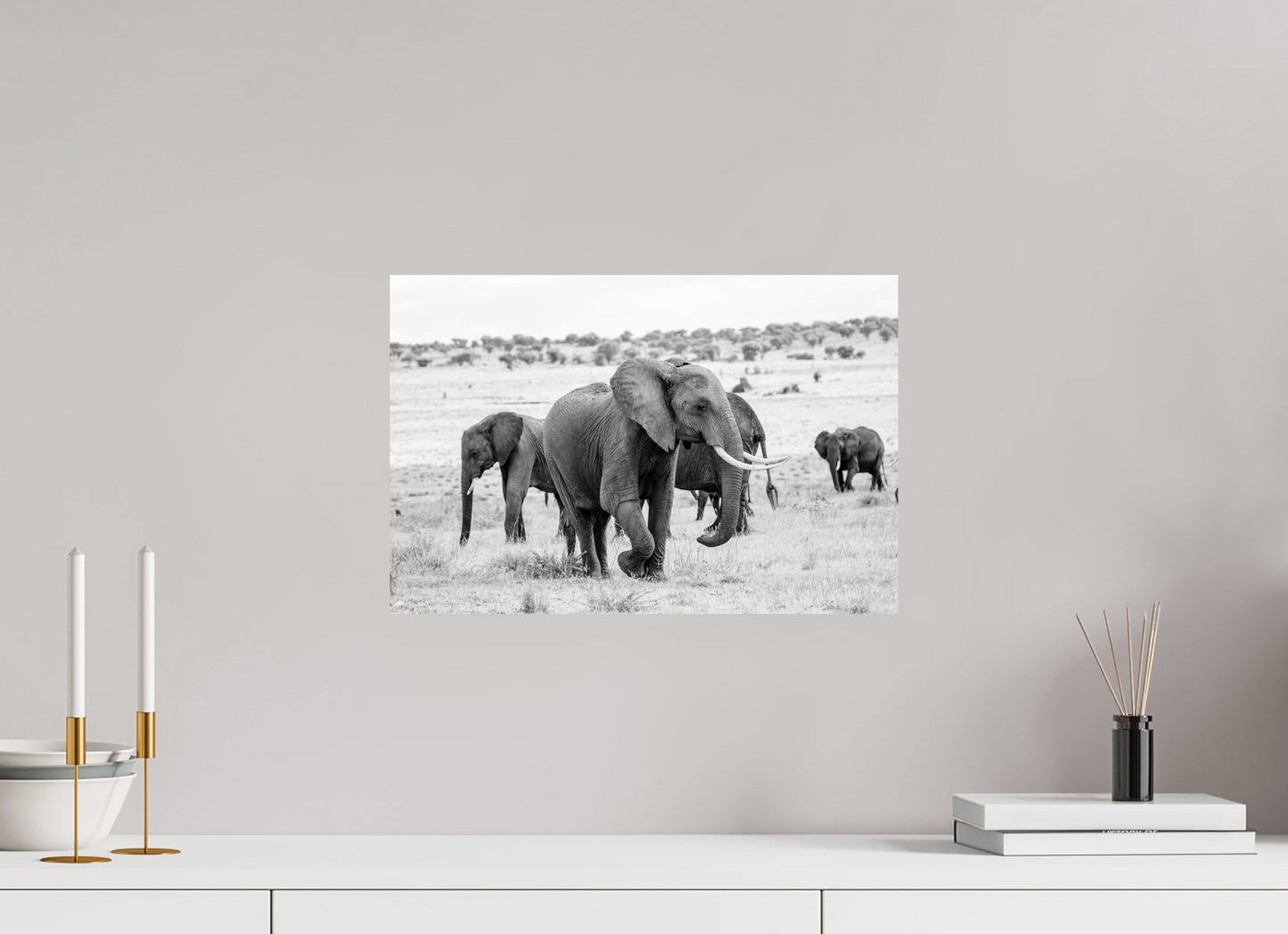 Grace in Numbers – Elephant Herd