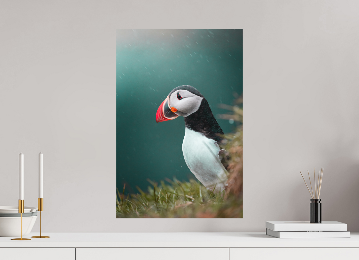 Windswept Watcher – Puffin in Iceland