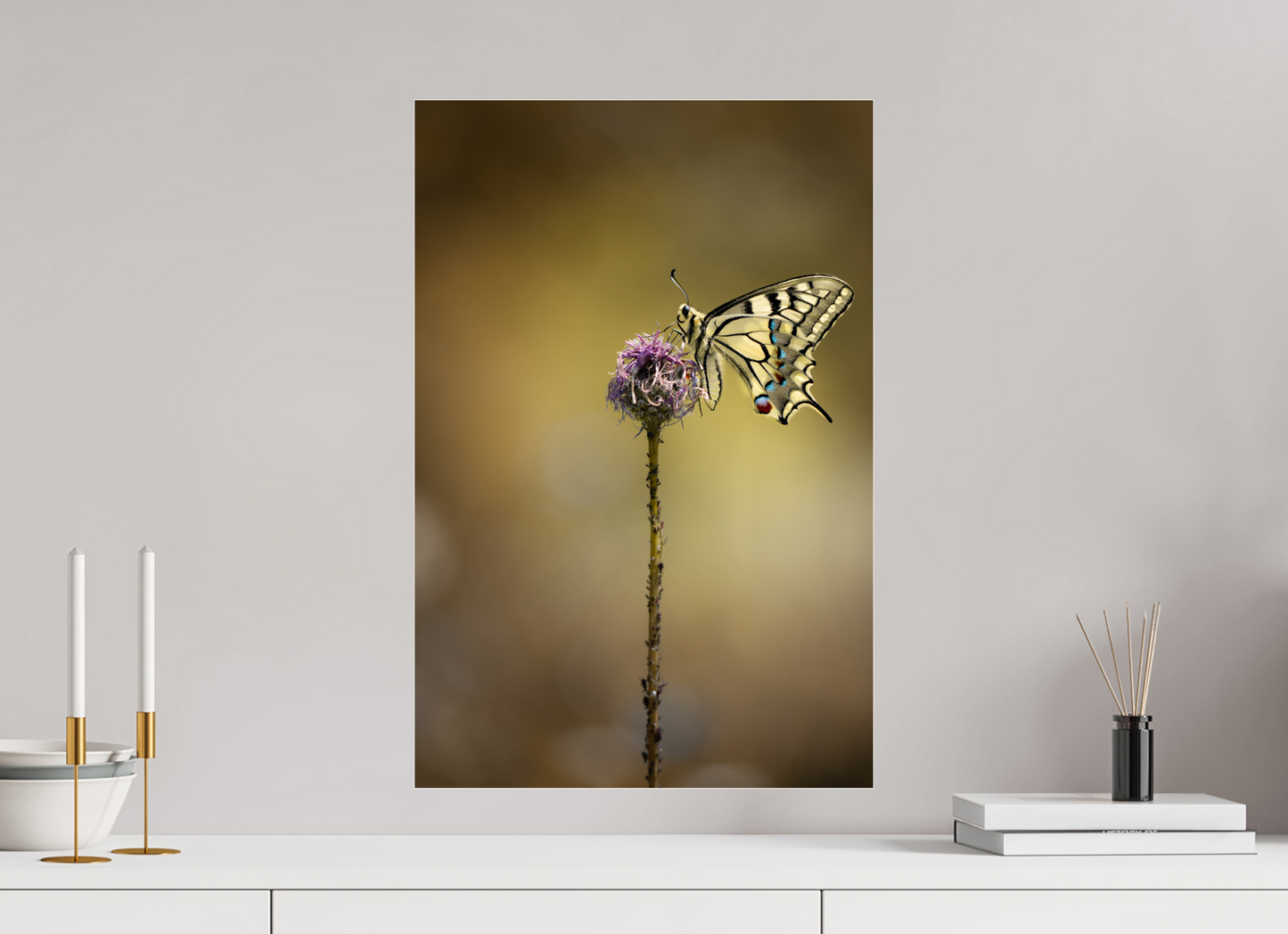 “Wings of Light” – Swallowtail Butterfly