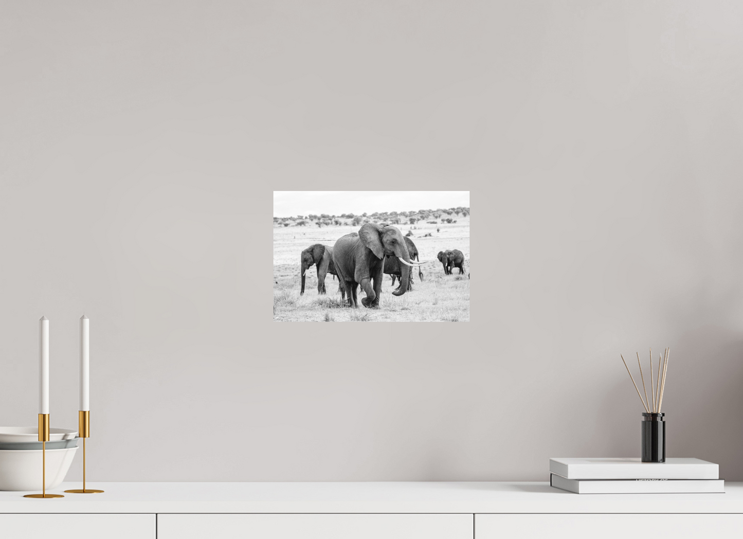 Grace in Numbers – Elephant Herd