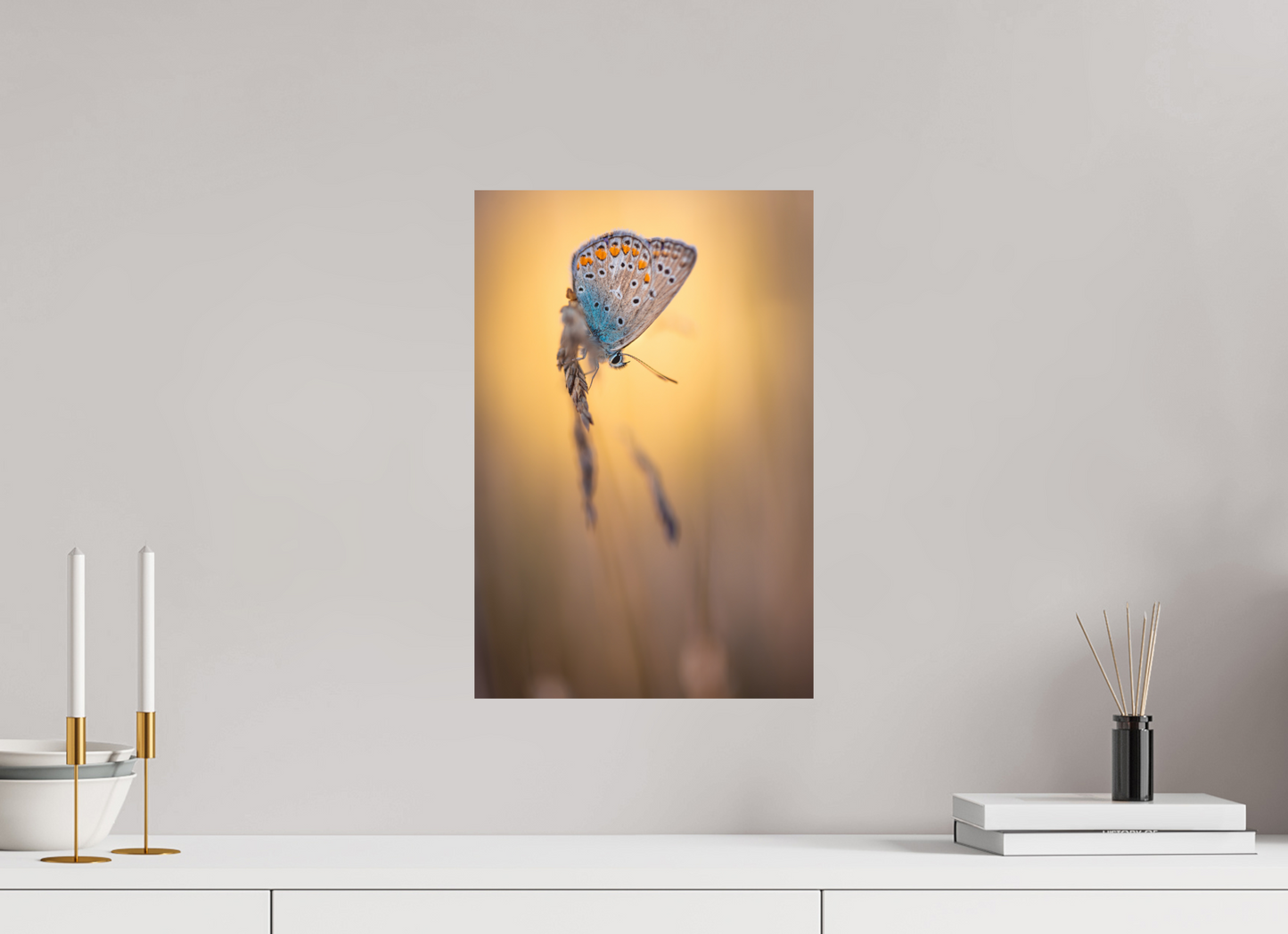Evening Balance” – Common Blue Butterfly
