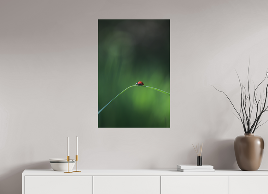 Red in the Green – Ladybug