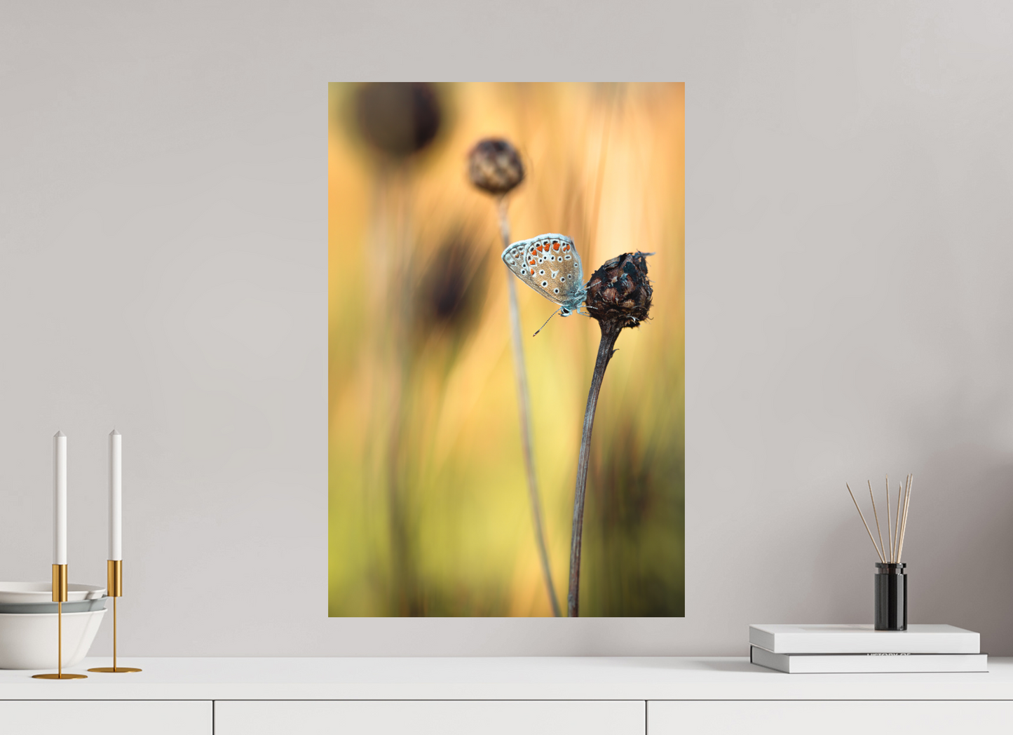 Glow in Blue – Common Blue Butterfly