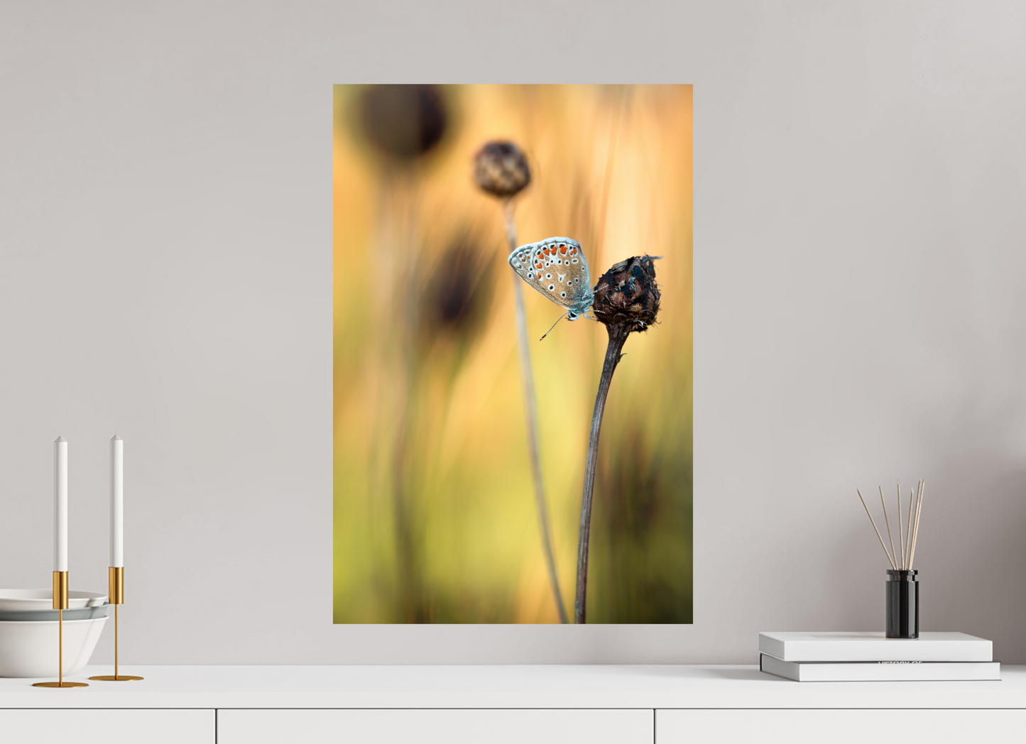 Glow in Blue – Common Blue Butterfly