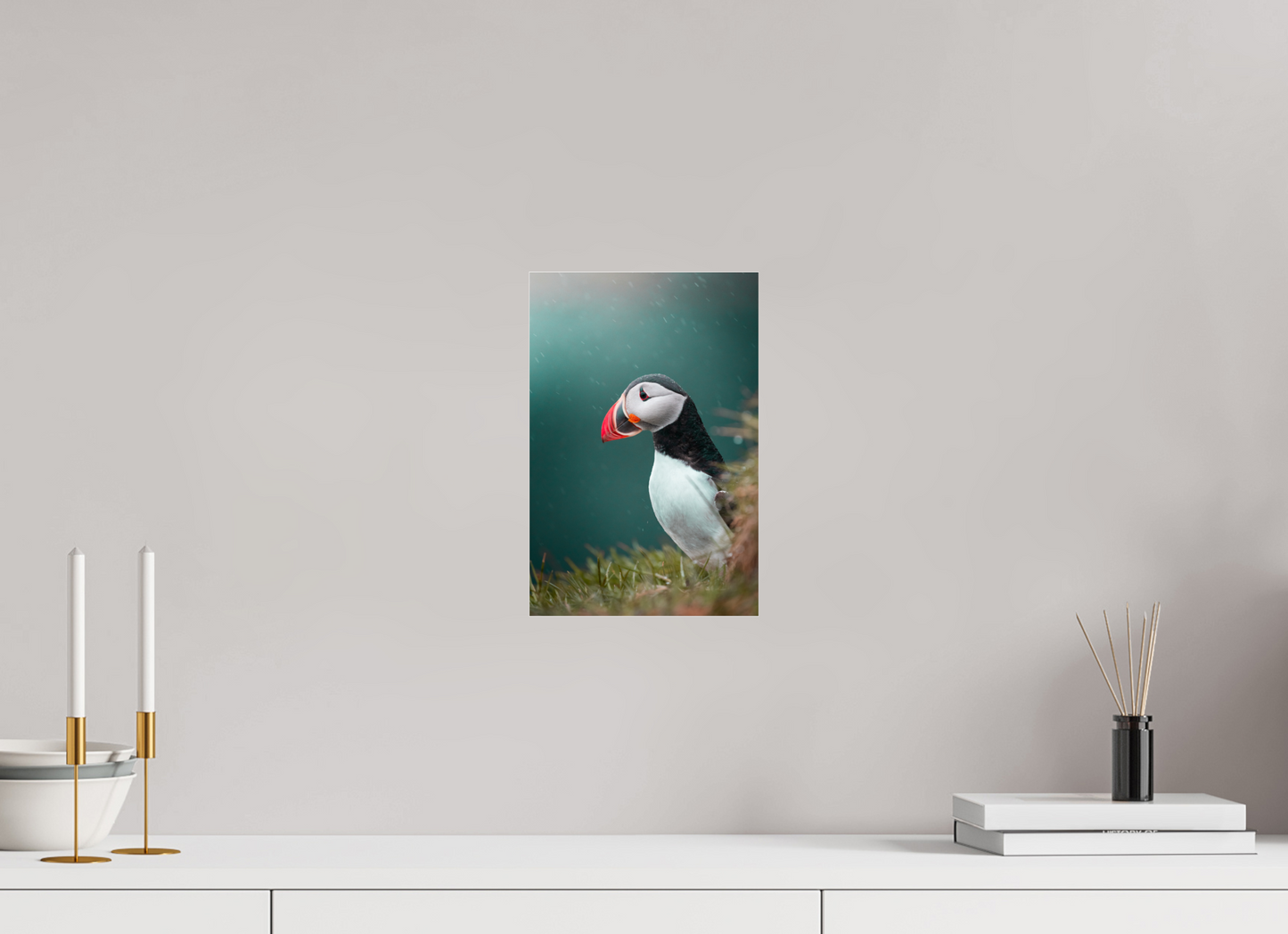 Windswept Watcher – Puffin in Iceland