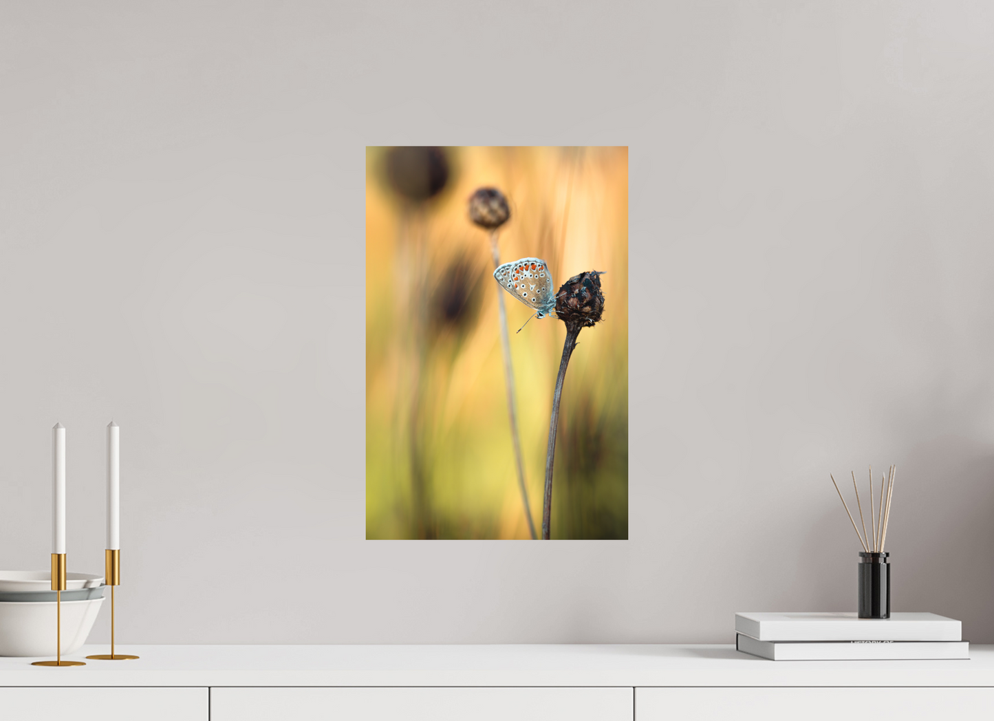 Glow in Blue – Common Blue Butterfly