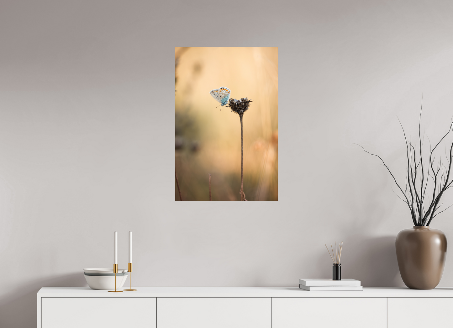 Sunset Stillness – Common Blue Butterfly