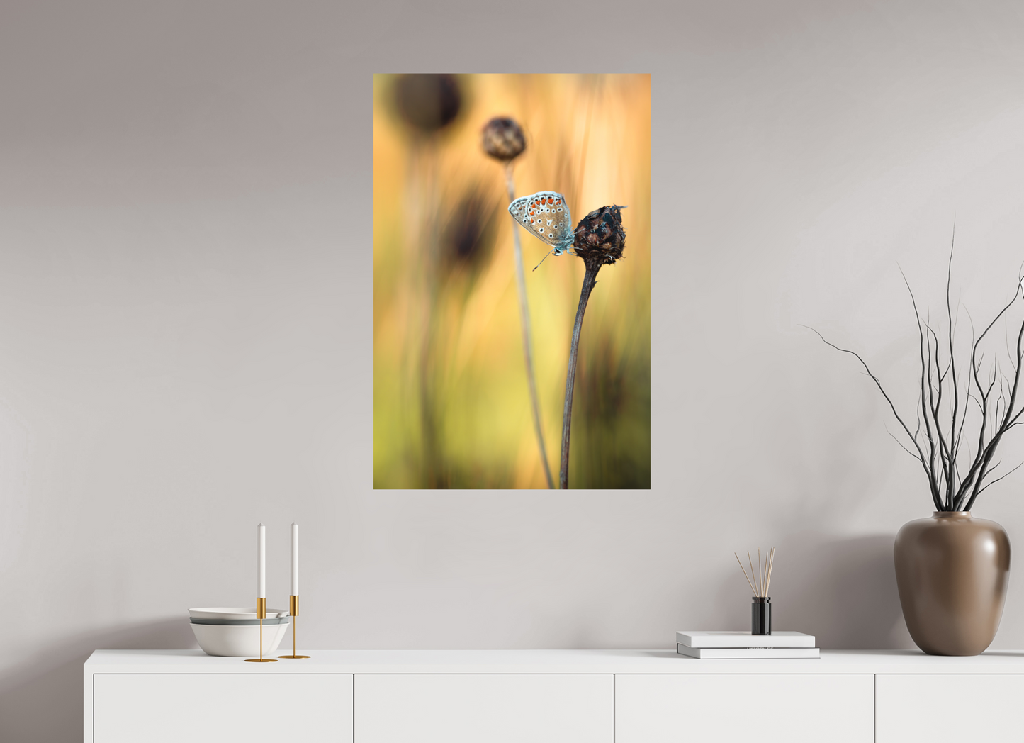 Glow in Blue – Common Blue Butterfly