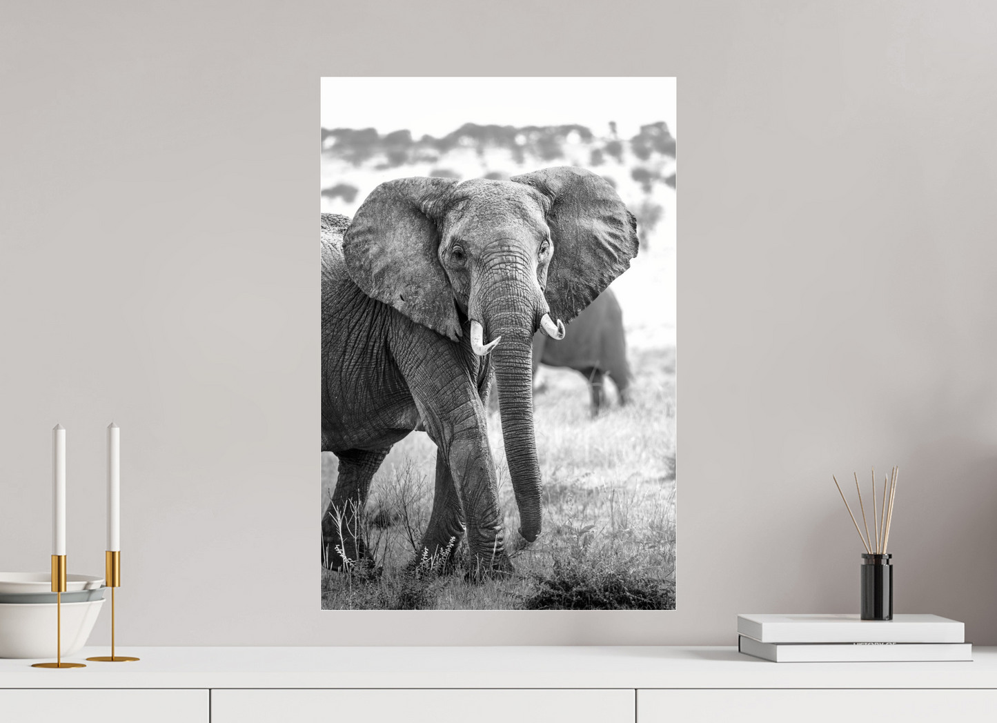 Elephant Portrait from the Serengeti