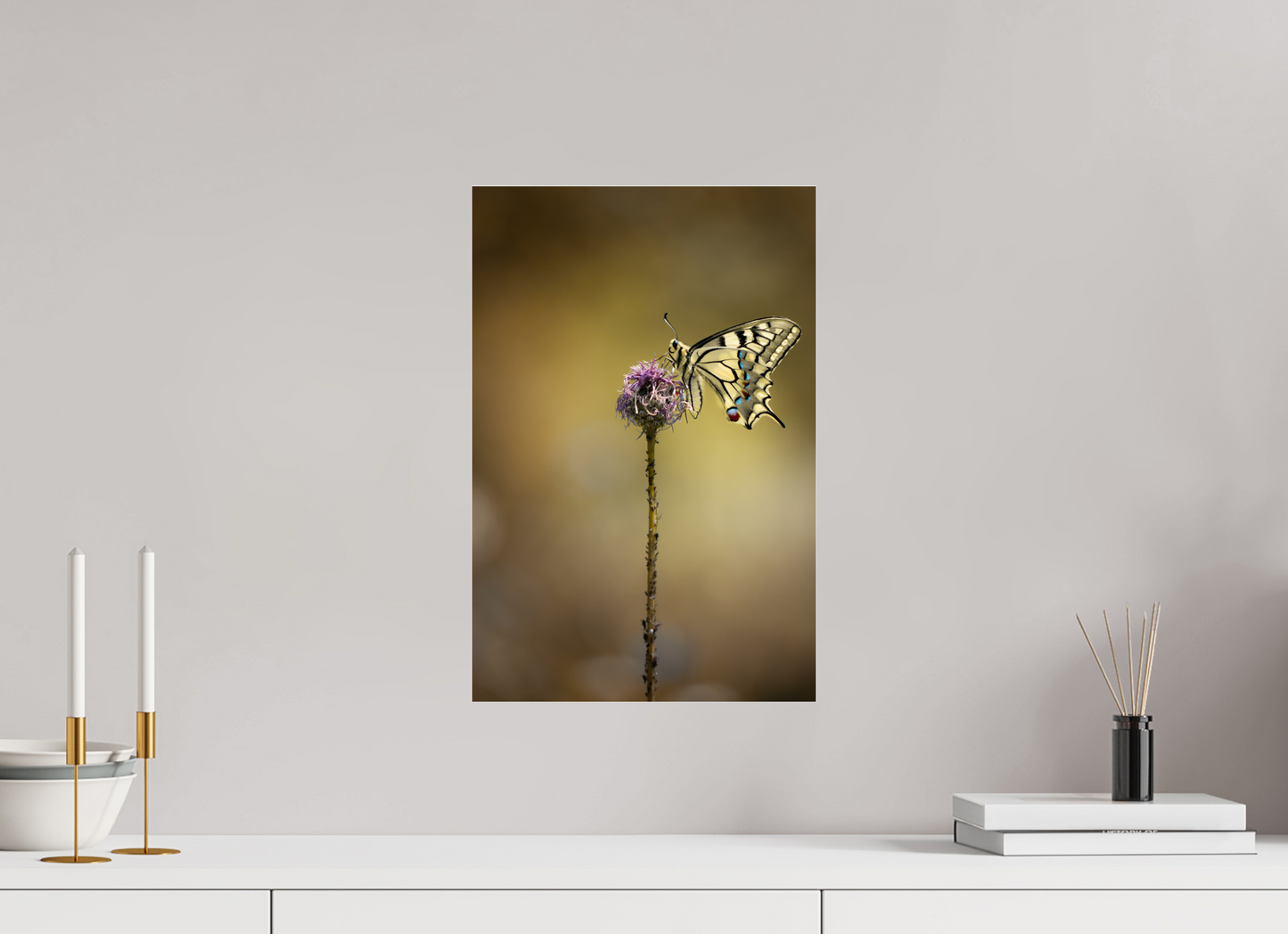 “Wings of Light” – Swallowtail Butterfly