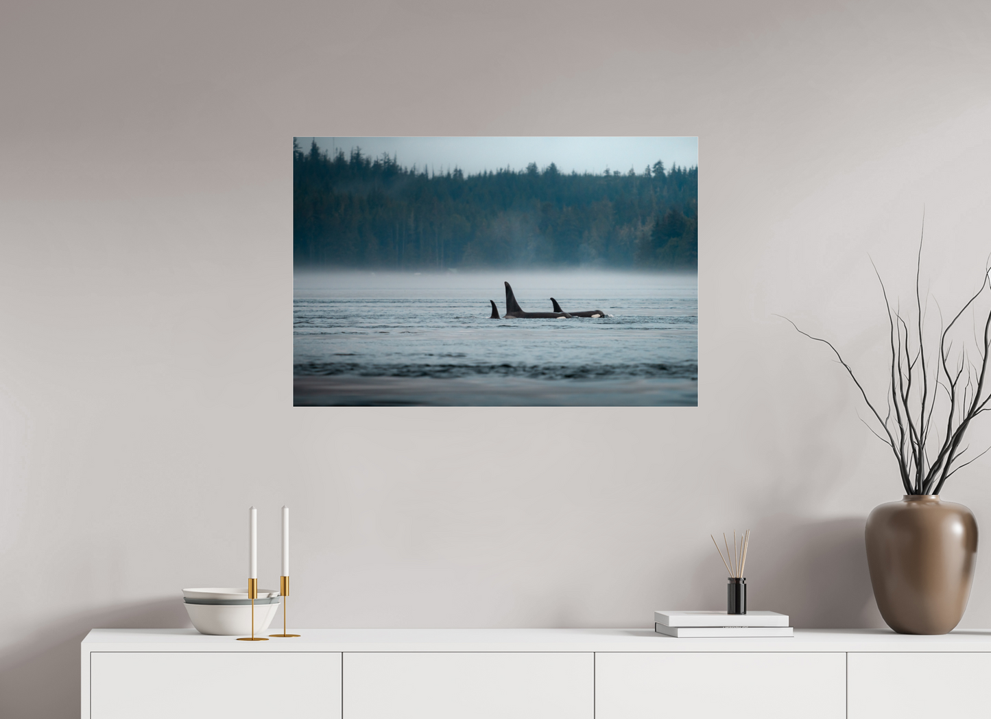 The Northern Current – Orca Pod